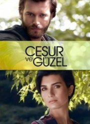 Отважный и красавица (2016)