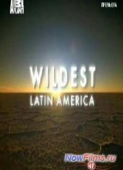 � ������ ��������� ������� (2012)