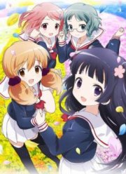 ������� ������ (2015)