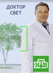 ������ ���� (2020)