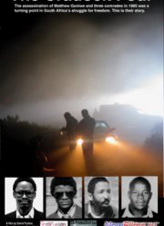 �������� ���������� �������� (2010)