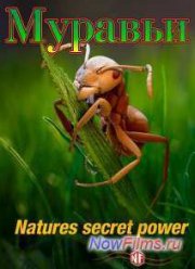 �������: ������ ���� ������� (2005)