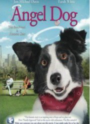 ������ � �����-��������� (2011)