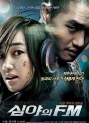 Полночное радио (2010)