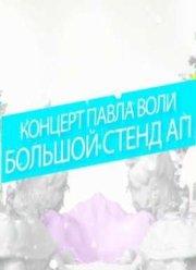 Павел Воля. Большой stand-up концерт (2015)