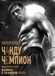 ����� � ������� (2024)