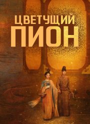 �������� ���� (1-2 �����)