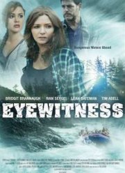 Свидетели (2015)