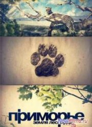 ��������: ����� �������� (2011)