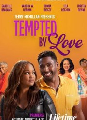 ����� ��������� ������������: ��������� ������� (2024)