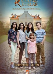 ����� ��� ������� (2017)