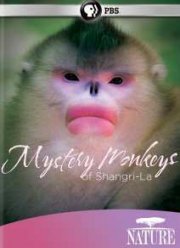 ���������� �������� ������-�� (2015)