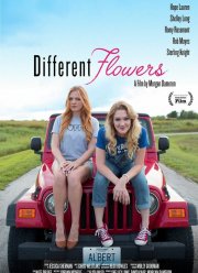 ������� ���� ����� (2017)