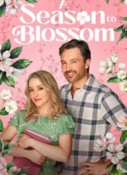 ����� �������� (2026)