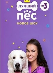 ������ ��	(2020)