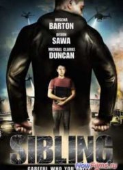 ����������� (2013)