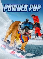 ����-ϸ� (2024)