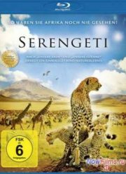 Национальный парк Серенгети (2011)