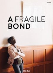 ������ ���� (2019)