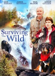 ��������� � ����� ������� (2018)