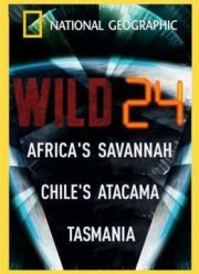 Дикие животные 24 часа (2015)