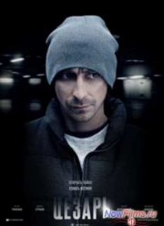 ������ (2013)