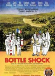 Шоковый эффект / Удар бутылкой (2008)