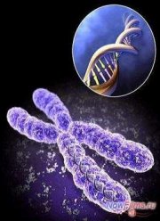 ����������� �����. �������� (2014)