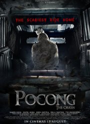 Саван призрака. Начало (2019)