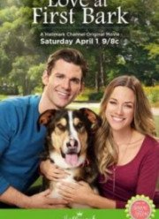 ������ � ������� ��� (2017)