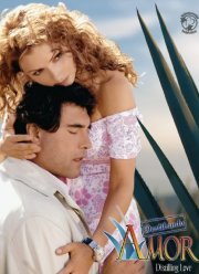 ������ ������ (2007)