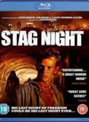 Последний мальчишник (2008)