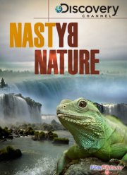 Discovery: ����� �������������� �������� (2008)