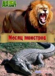 ����� �������� (2014)