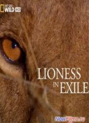 ������ � �������� (2012)