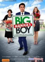Мальчик большой мамочки (2011)