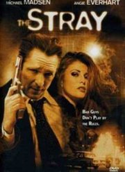 Бродяга (2000)