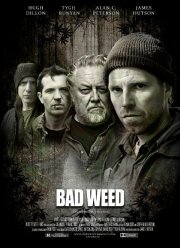 ��������� ������ (2016)