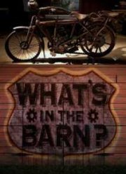 Discovery: Что у вас в гараже? (2013)