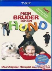 ��� ������ � ������� (2004)