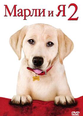    2 (2011)