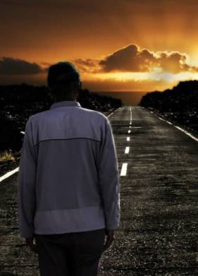 ���� ������������ ����� (2017)