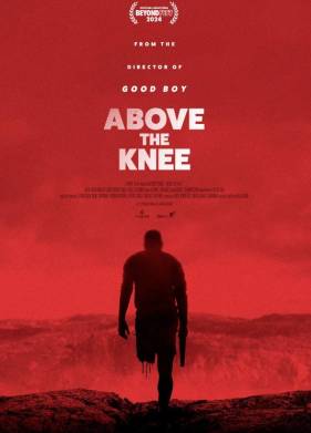 ���� ������ (2025)