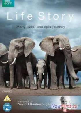 ������� ����� (2014)