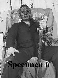 ������� � 6 (2020)