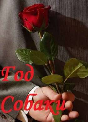 ��� ������ (2018)