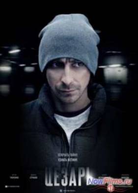 ������ (2013)